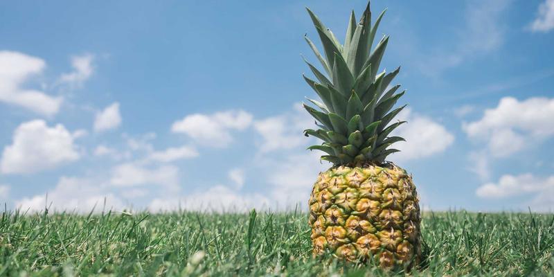 WDSSBJ与低代码开发结合：如何快速构建和迭代企业级数据应用