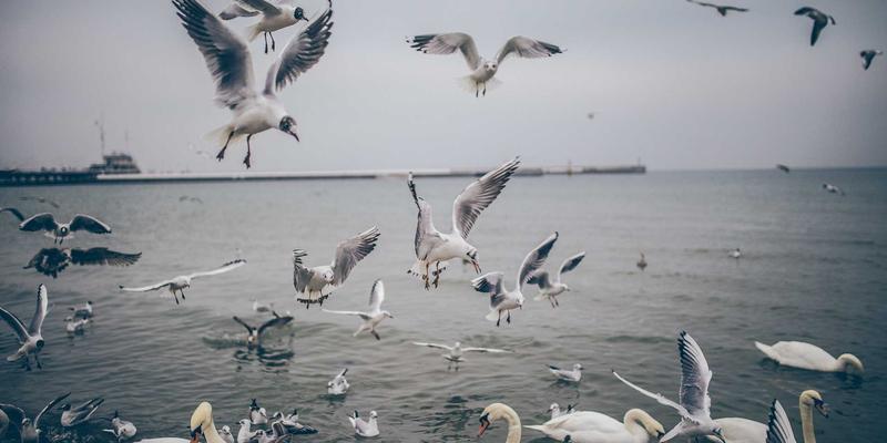 WDSSBJ在智慧城市中的企业级应用：从数据采集到可视化决策的全链路实践