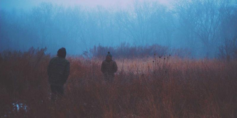 WDSSBJ怎么用？从入门到精通，一站式网站建设与技术咨询指南