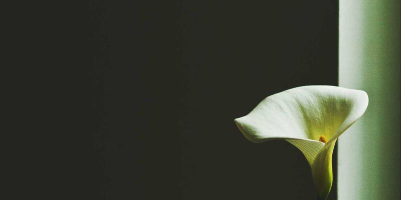 WDSSBJ技术赋能：物流路径规划与仓储智能调度的网络技术革命