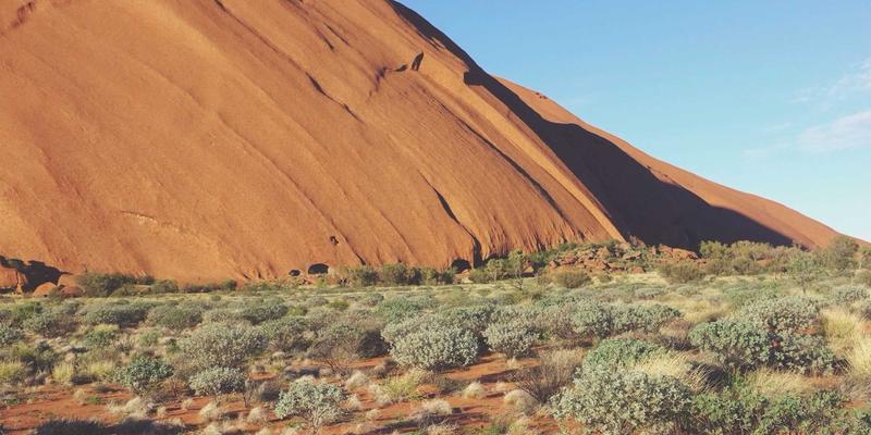 WDSSBJ攻略:软件开发、系统集成与网站建设的战略融合之道