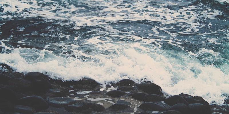 WDSSBJ赋能内容安全：网络技术驱动下的舆情实时监控与敏感信息识别系统集成