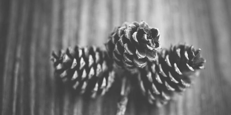 WDSSBJ赋能智慧城市：系统集成与技术咨询如何构建城市大脑与精准交通流量预测模型