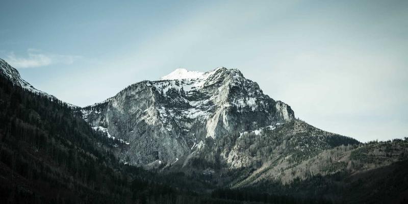 WDSSBJ趋势解读:软件开发与网站建设的融合新范式