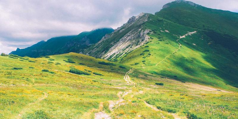 WDSSBJ驱动下的智能客服系统：如何通过NLP与知识图谱重塑技术咨询与系统集成体验