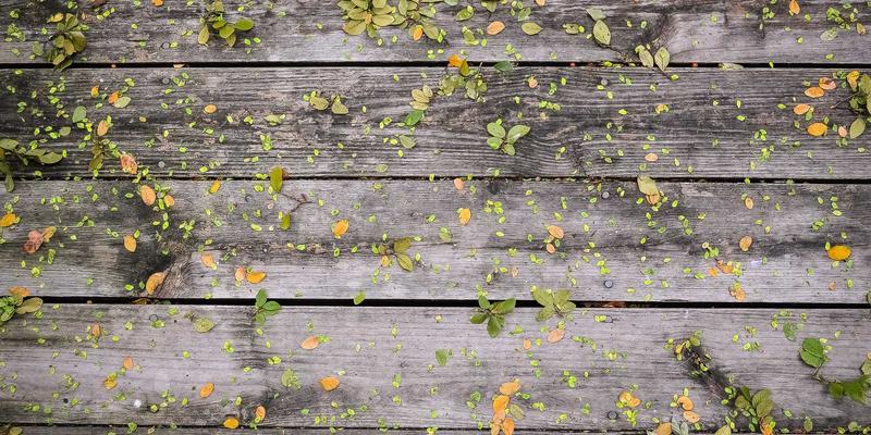 WDSSBJ驱动制造业数字化转型：软件开发与系统集成如何优化从生产数据到MES的完整链路