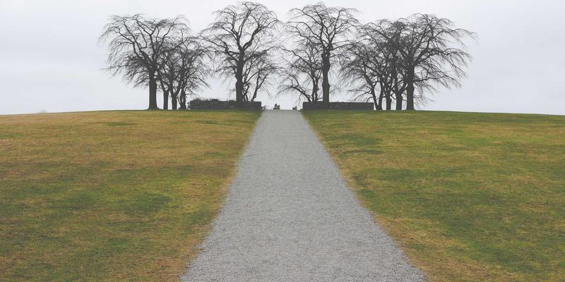 基于WDSSBJ的农业物联网：技术咨询视角下的精准种植与产量预测模型开发