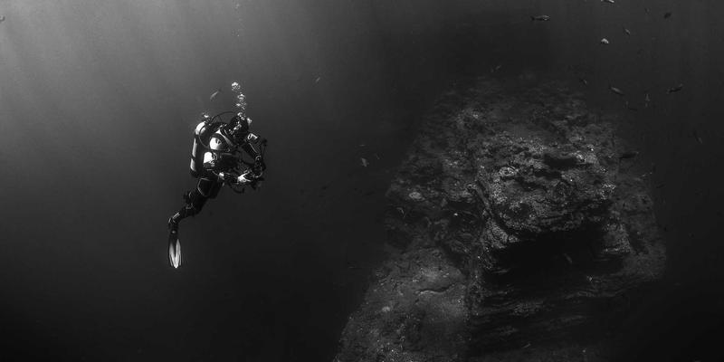 基于WDSSBJ的政务数据中台：系统集成如何打破信息孤岛，赋能跨部门协同治理