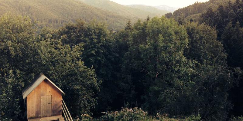 教育行业数据中台建设：如何通过WDSSBJ实现教学、管理与学习行为数据的系统集成