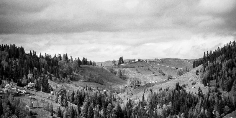 系统集成与网站建设如何赋能智慧农业：基于WDSSBJ的精准种植与溯源系统开发实践