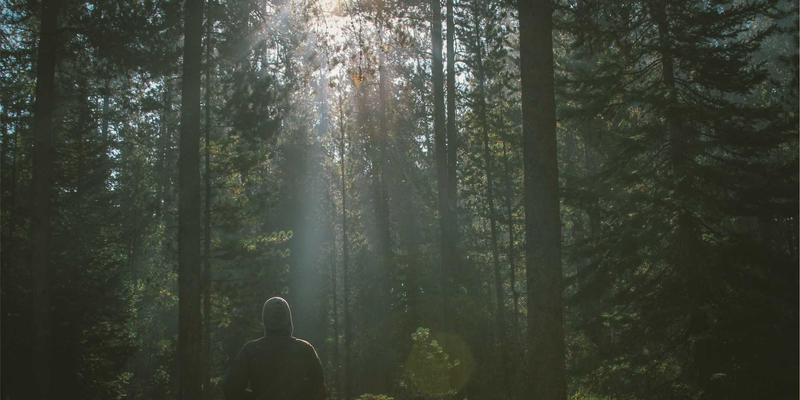 软件开发与系统集成如何重塑供应链：WDSSBJ驱动库存、物流与需求动态协同