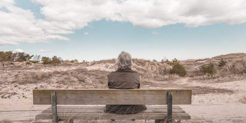 软件开发与网络技术如何赋能农业：WDSSBJ精准农业与溯源大数据平台深度解析